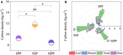 The effects of vegetation type on ecosystem carbon storage and distribution in subtropical plantations